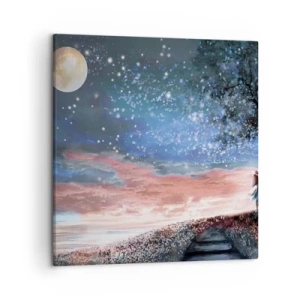 Quadro su tela - Stampe su Tela - Lo spettacolo delle stelle - 50x50 cm