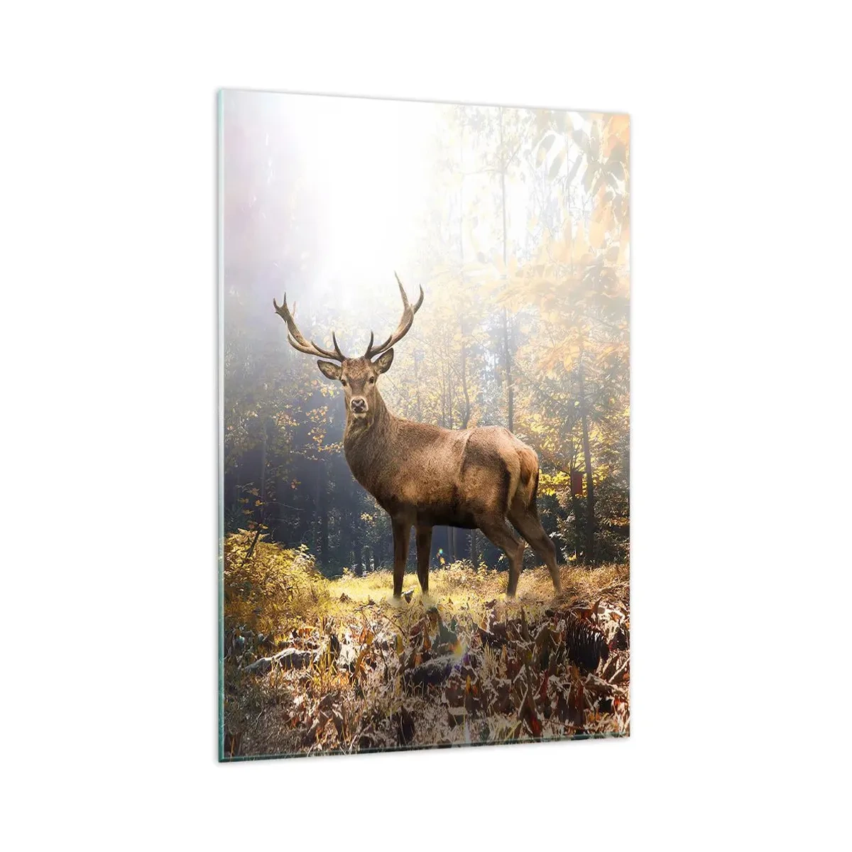 Quadro su vetro - Cervi nella foresta autunnale con raggi di sole - 80x120cm - Nella piena maestà - Decorazione murale moderna per soggiorno e camera da letto ARTTOR