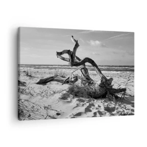 Quadro su tela - Stampe su Tela - Paesaggio in bianco e nero con un albero morto sulla spiaggia - 70x50cm - Scolpito dal mare - Decorazione murale moderna per soggiorno e camera da letto ARTTOR