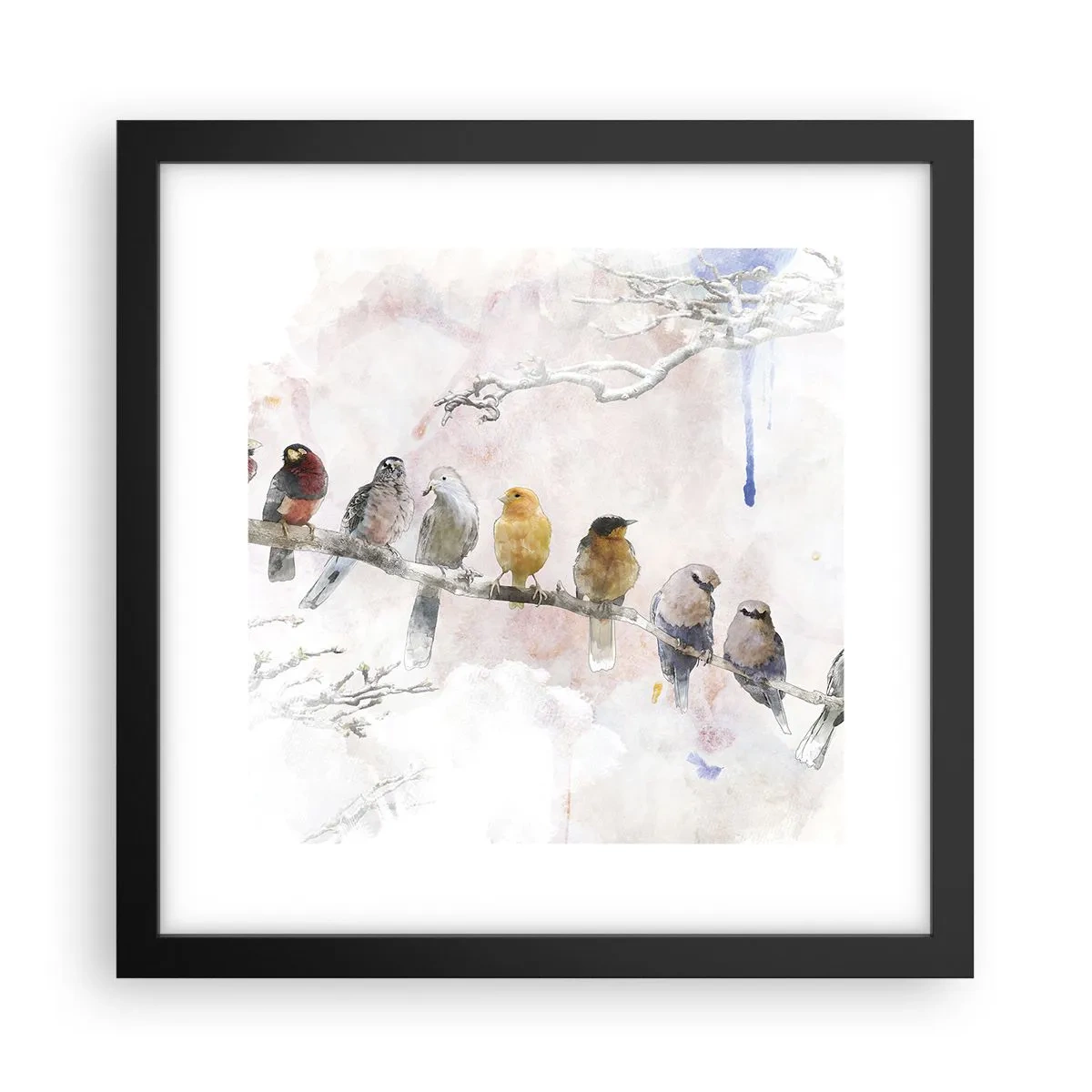 Poster in cornice nera - Incontro alato - 30x30 cm