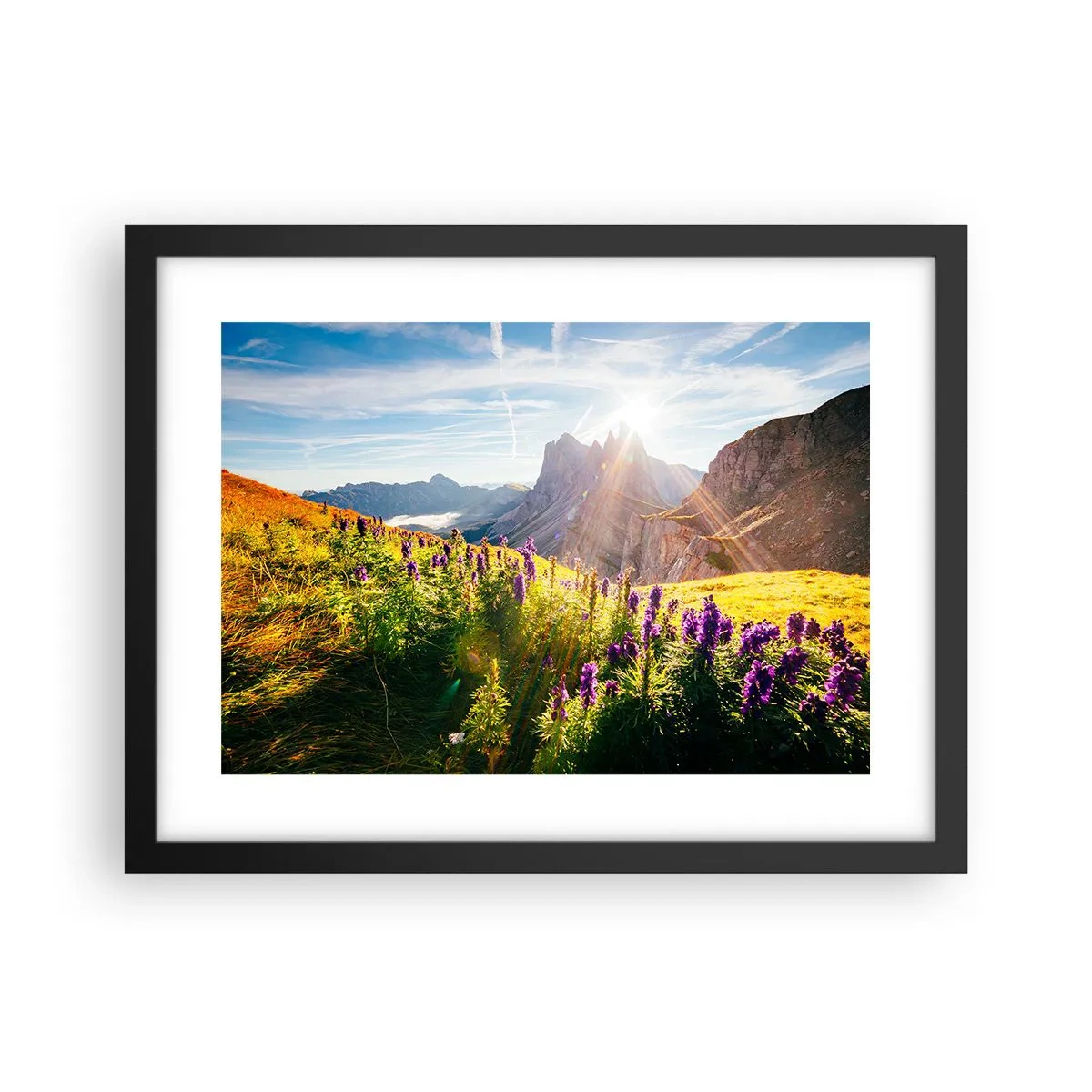 Poster in cornice nera - La vita segreta delle erbe - 40x30 cm