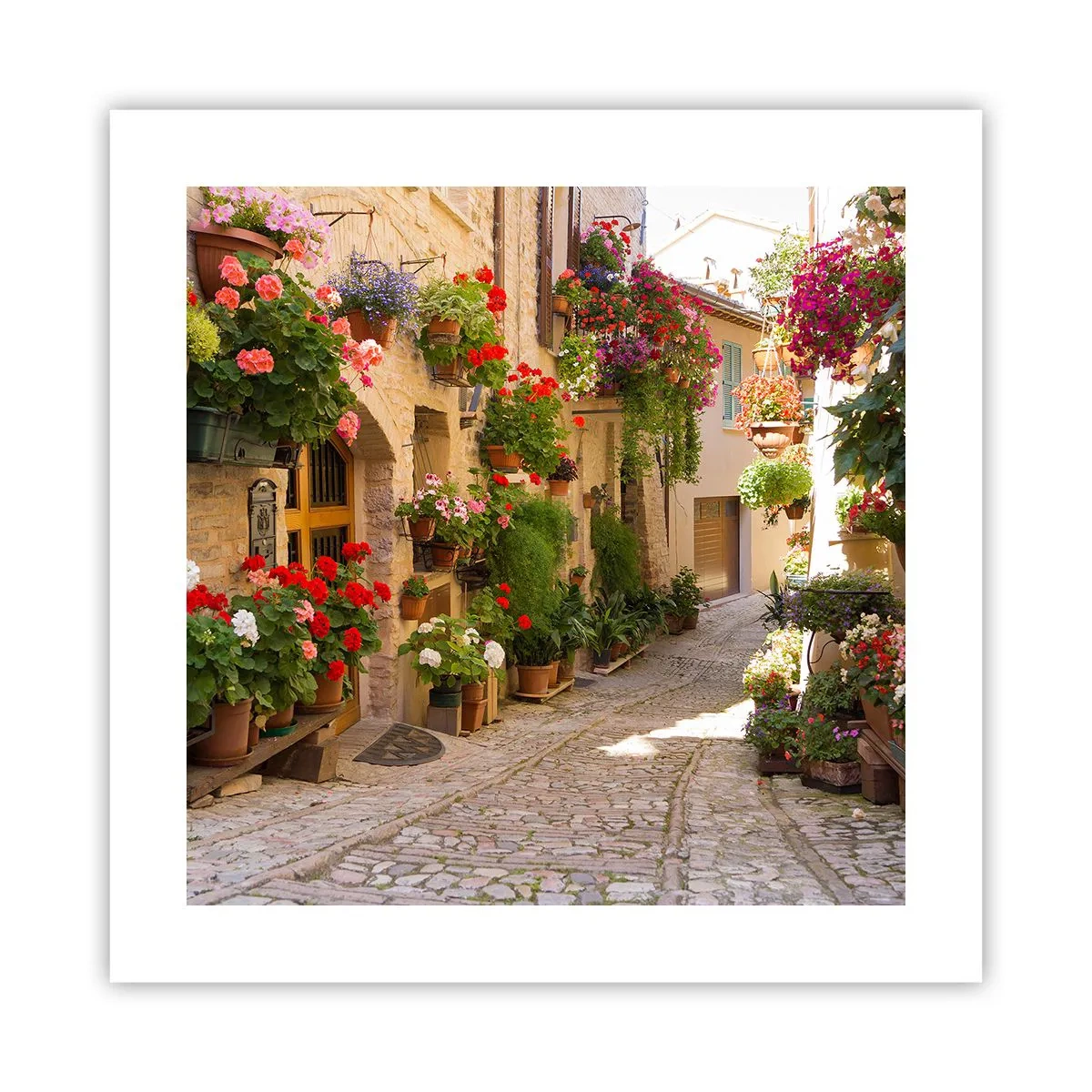 Poster - Un'esplosione di fiori - 40x40 cm