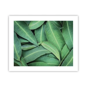 Poster - Succosi e freschi - 50x40 cm