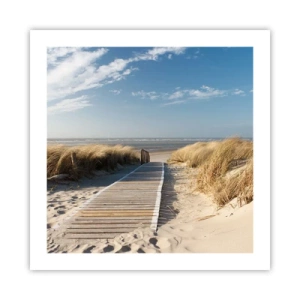 Poster - Dopo la duna, nel fruscio dell'erba - 50x50 cm