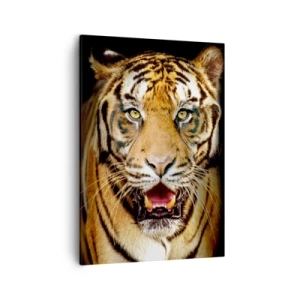 Quadro su tela - Stampe su Tela - Una tigre con la bocca aperta su uno sfondo nero - 50x70cm - Cuore selvatico - Decorazione murale moderna per soggiorno e camera da letto ARTTOR