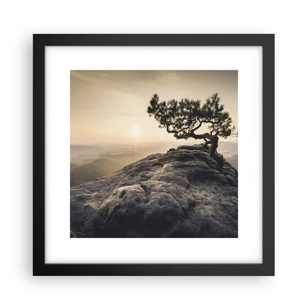 Poster in cornice nera - La vita vince sempre - 30x30 cm