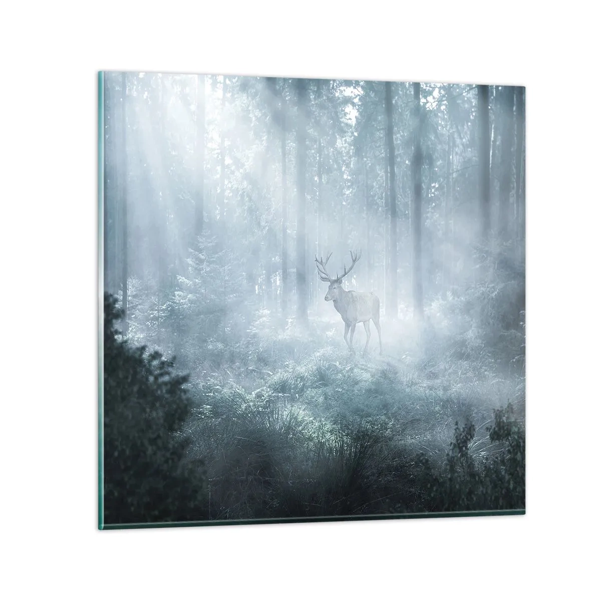 Quadro su vetro - Passeggiata mattutina sulle sue terre - 60x60 cm