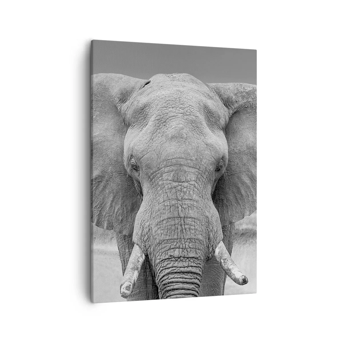 Quadro su tela - Stampe su Tela - Ritratto di un elefante in bianco e nero - 50x70cm - Benvenuti nel mio mondo - Decorazione murale moderna per soggiorno e camera da letto ARTTOR