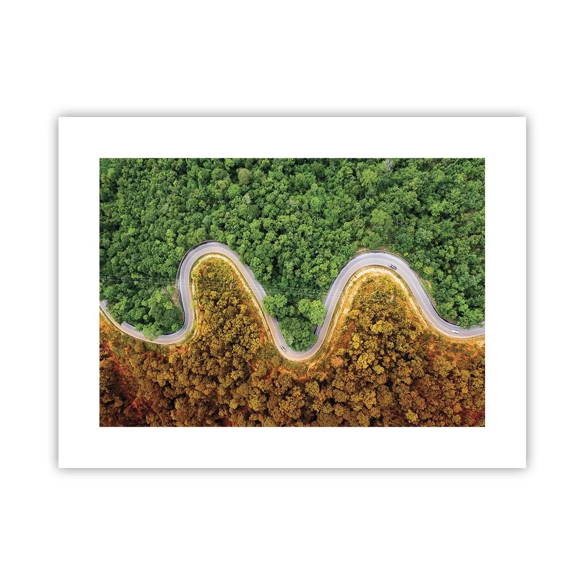 Poster - Confine e separazione - 40x30 cm