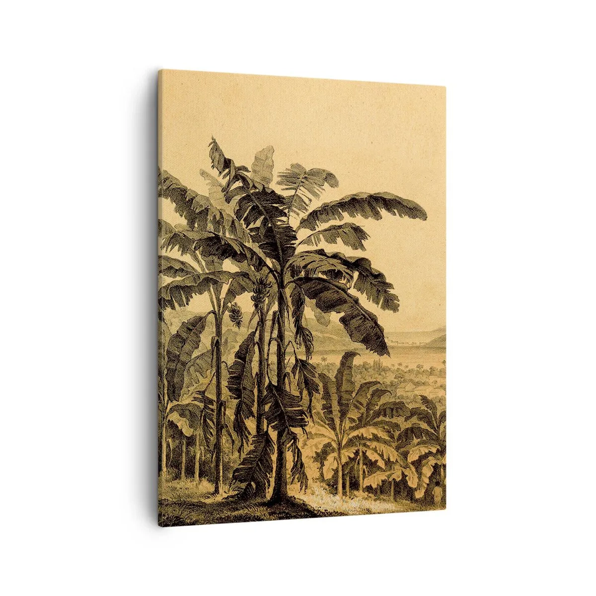 Quadro su tela - Stampe su Tela - Disegno di alberi di banana su uno sfondo di paesaggio tropicale - 50x70cm - Nel clima coloniale - Decorazione murale moderna per soggiorno e camera da letto ARTTOR