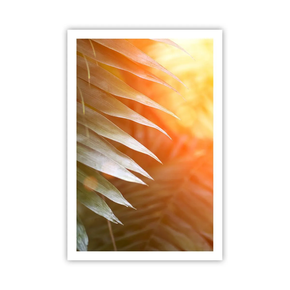 Poster - L'alba nella giungla - 61x91 cm