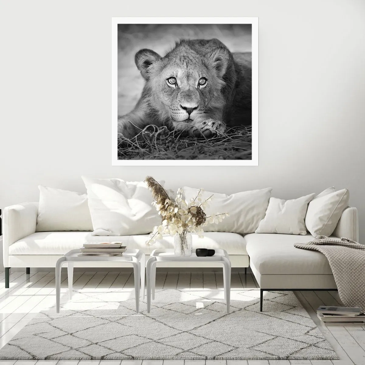 Poster - Cucciolo reale - 50x50 cm