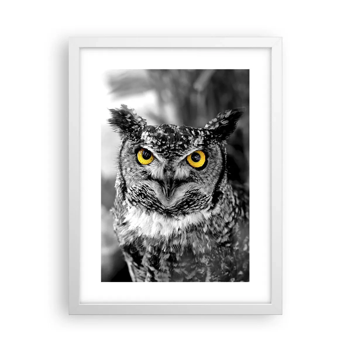 Poster in cornice bianca - Non si può nascondere niente - 30x40 cm