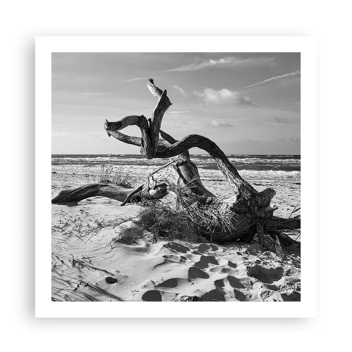 Poster - Scolpito dal mare - 60x60 cm