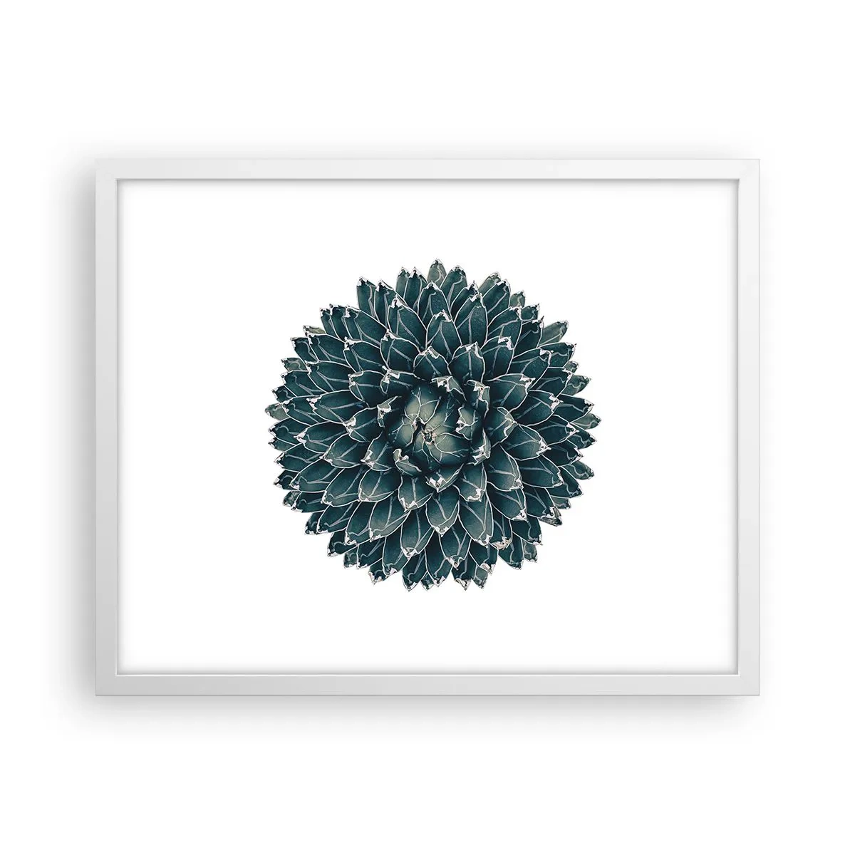 Poster in cornice bianca - La stella del deserto - 50x40 cm