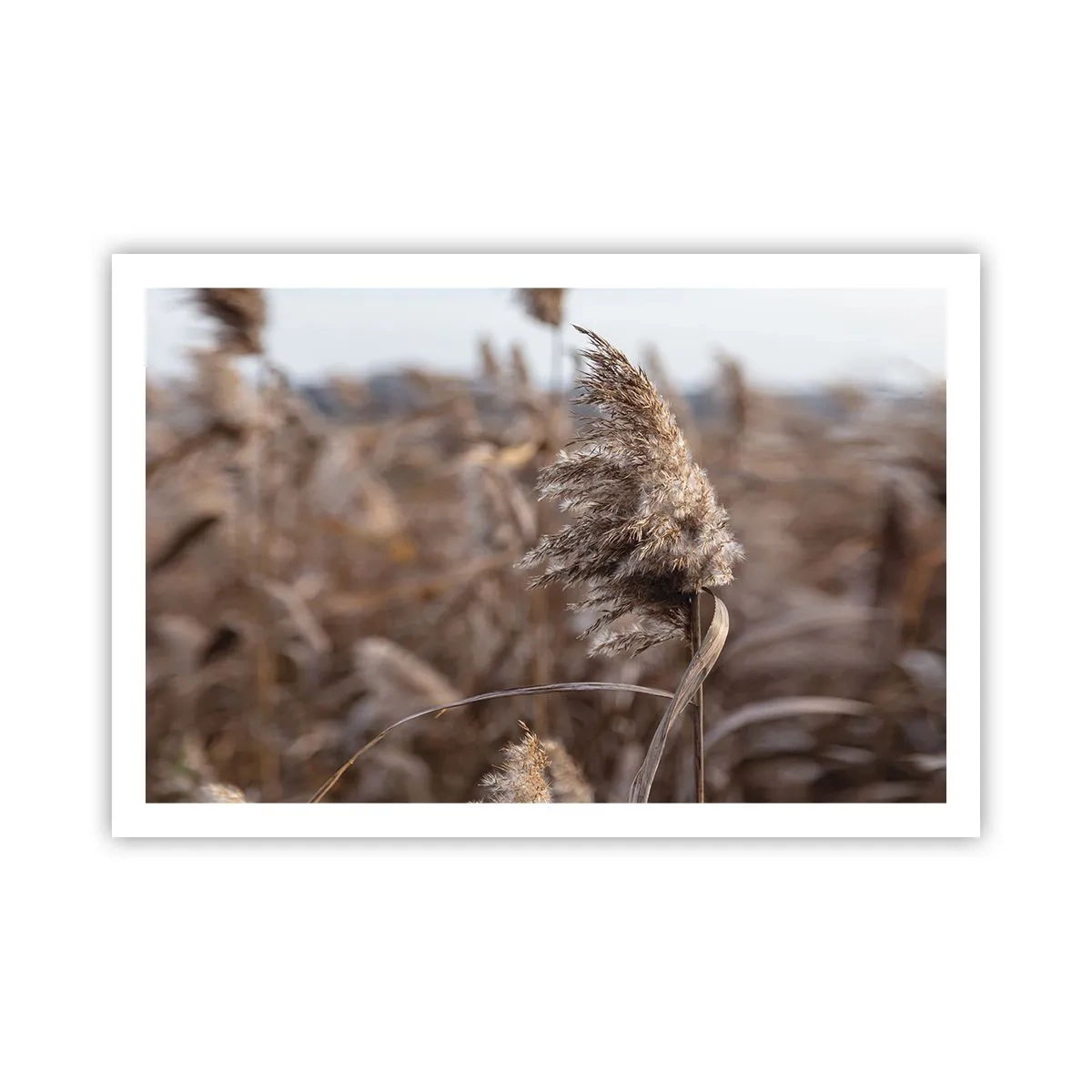 Poster - è tempo di volare col vento - 91x61 cm