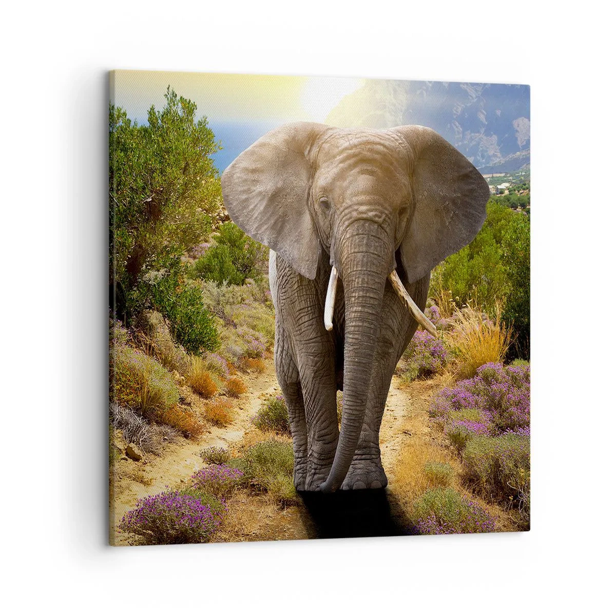 Quadro su tela - Stampe su Tela - Così era il paradiso - 50x50 cm