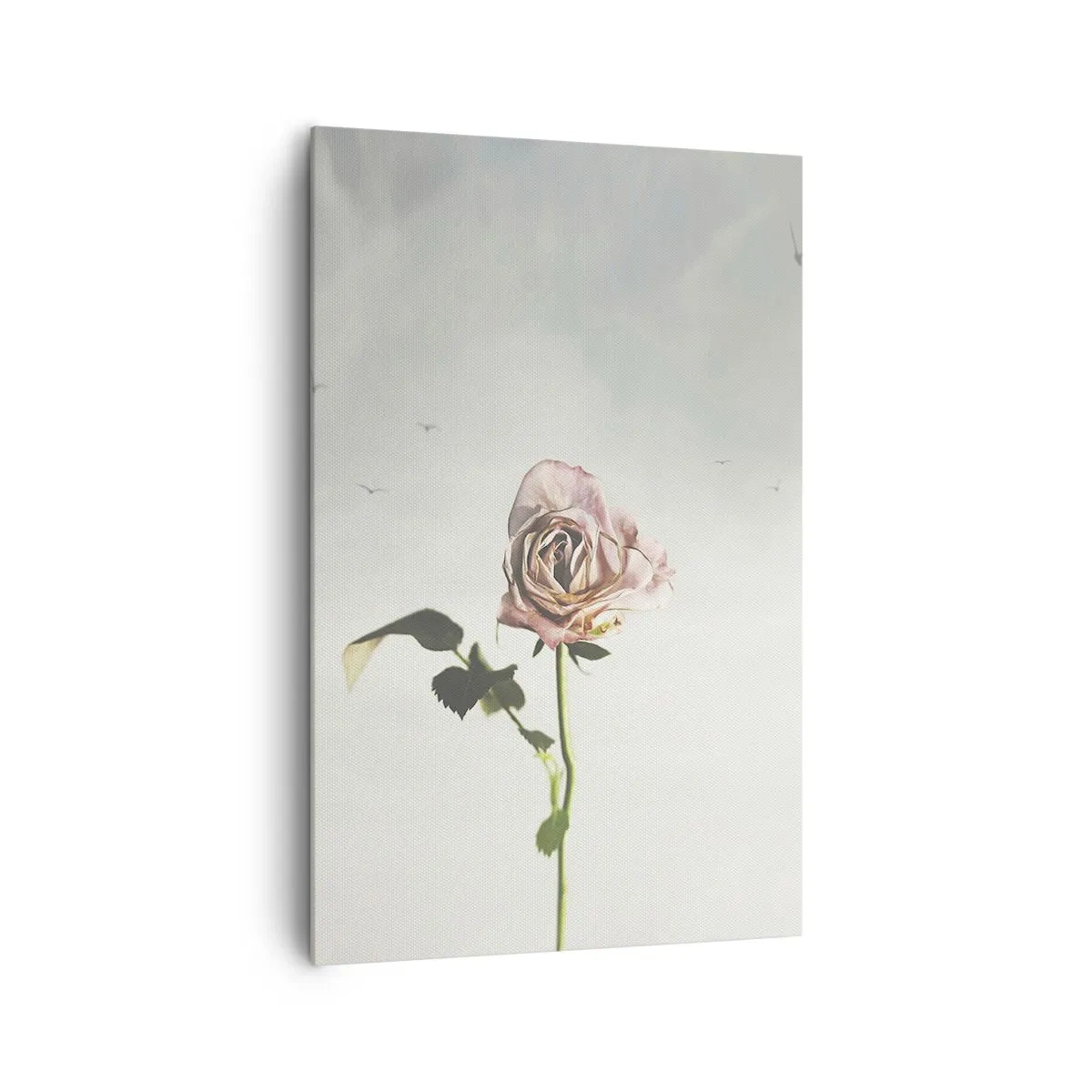 Quadro su tela - Stampe su Tela - Una rosa delicata contro un cielo luminoso con uccelli che volano - 80x120cm - Il benvenuto alla primavera - Decorazione murale moderna per soggiorno e camera da letto ARTTOR