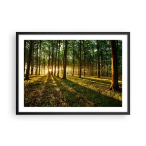 Poster in cornice nera - Il sole al tramonto nella foresta decidua - 70x50cm - La foto di ogni primavera - Decorazione murale moderna per soggiorno e camera da letto ARTTOR