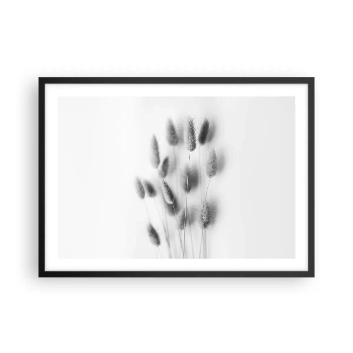 Poster in cornice nera - Erbe delicate in tonalità di grigio su sfondo bianco - 70x50cm - Erba soffice - Decorazione murale moderna per soggiorno e camera da letto ARTTOR