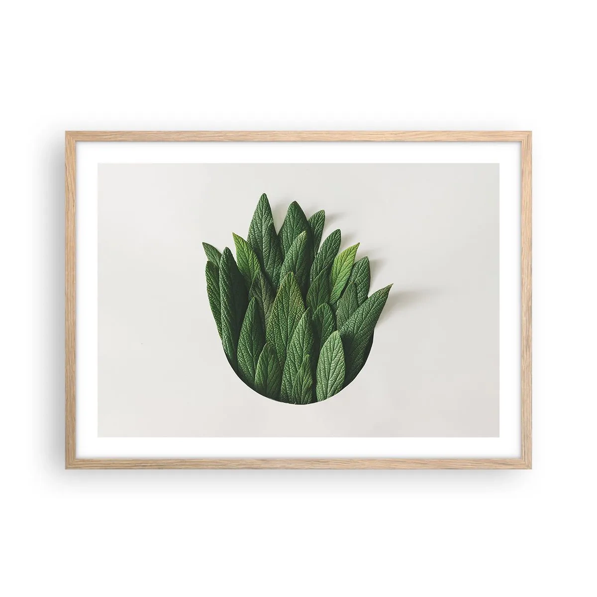 Poster in cornice rovere chiaro - Curiosità irrefrenabile - 70x50 cm