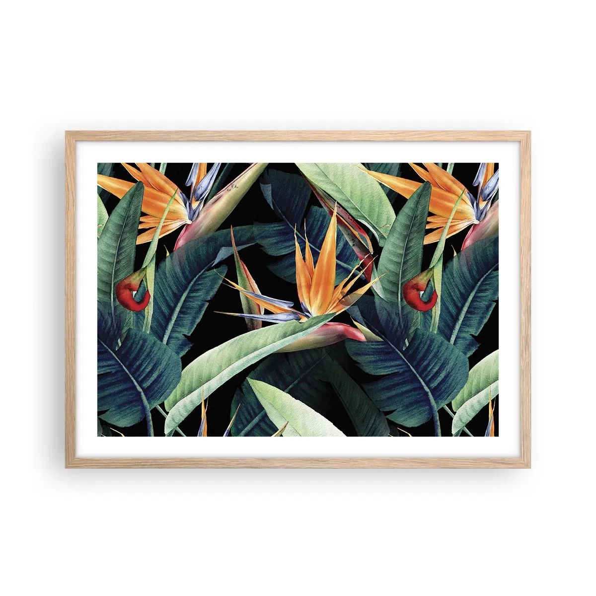 Poster in cornice rovere chiaro - I fiori fiammeggianti dei tropici - 70x50 cm