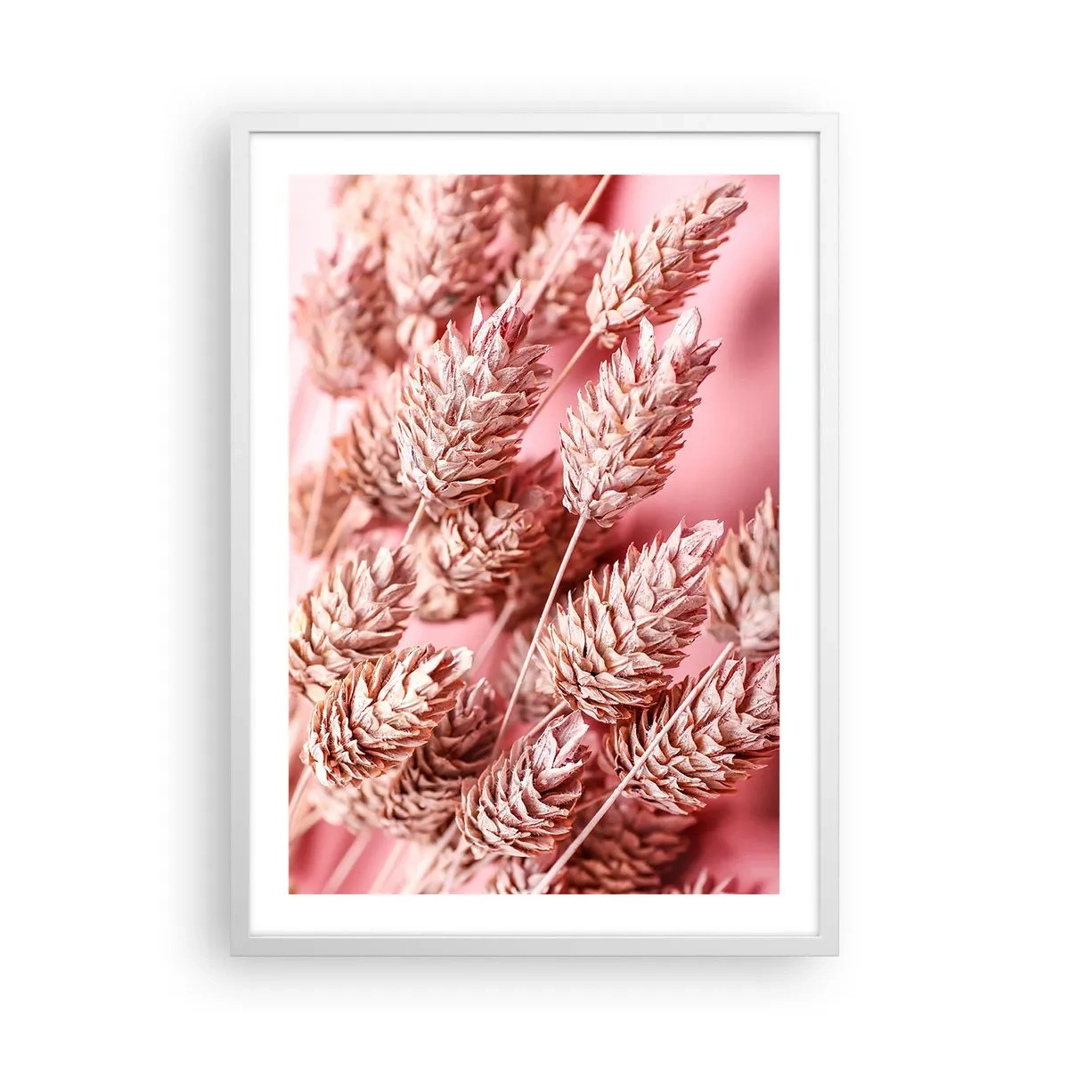 Poster in cornice bianca - Cascata di fiori in rosa - 50x70 cm