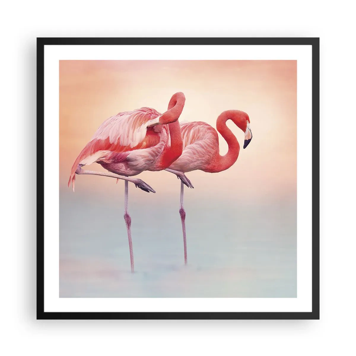 Poster in cornice nera - Nel colore del sole al tramonto - 60x60 cm