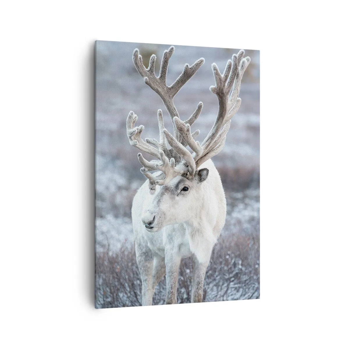 Quadro su tela - Stampe su Tela - Ritratto al sole - 70x100 cm