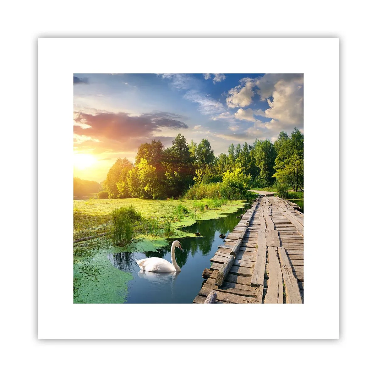 Poster - Estate, estate ovunque - 30x30 cm