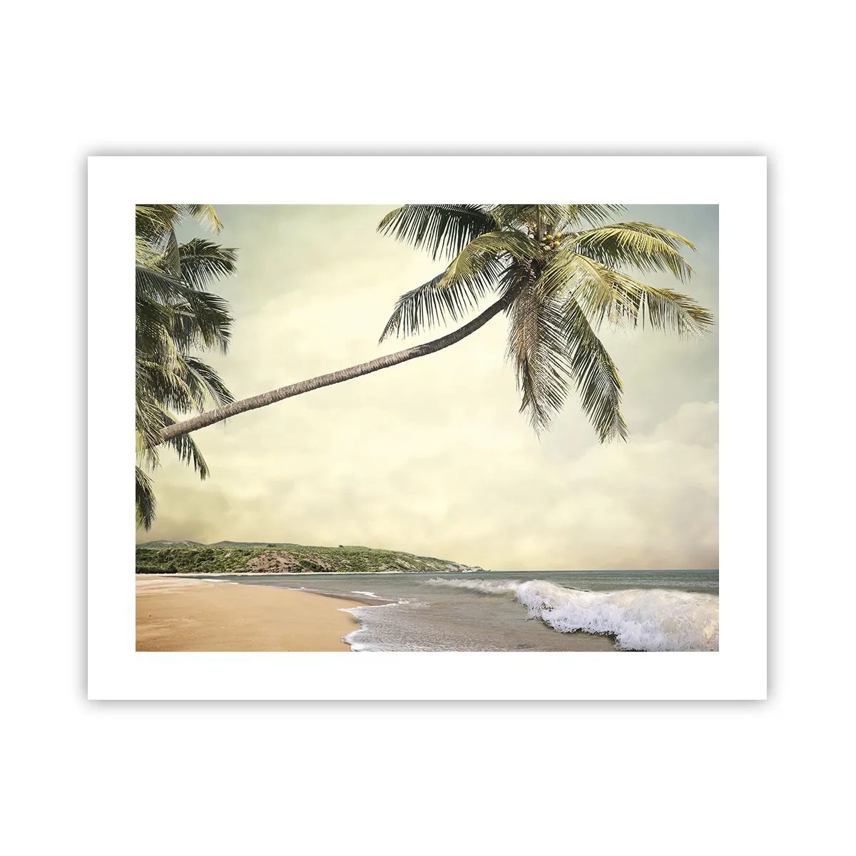 Poster - Sogno tropicale - 50x40 cm