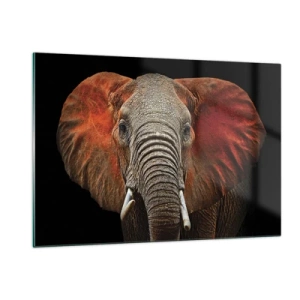 Quadro su vetro - Ritratto di un maestoso elefante su sfondo nero - 120x80cm - Sono selvaggio e tu? - Decorazione murale moderna per soggiorno e camera da letto ARTTOR