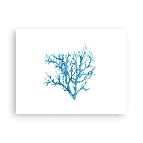 Poster - Filigrana marina - 40x30 cm