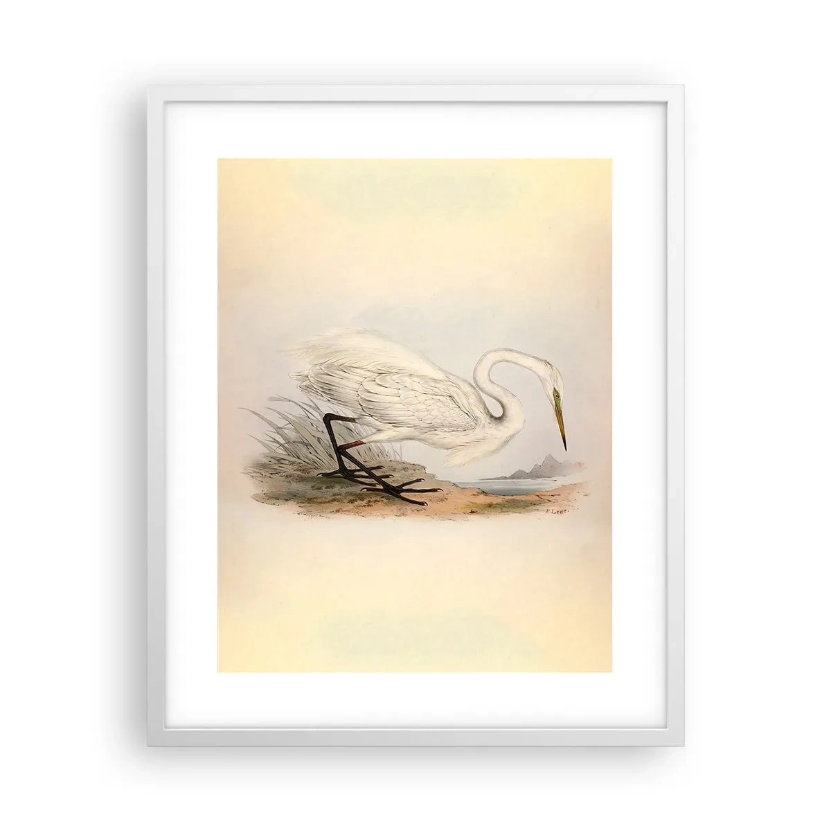 Poster in cornice bianca - La signora nel canneto - 40x50 cm