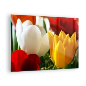 Quadro su vetro - Tulipani colorati in primo piano - 70x50cm - La febbre dei tulipani - Decorazione murale moderna per soggiorno e camera da letto ARTTOR