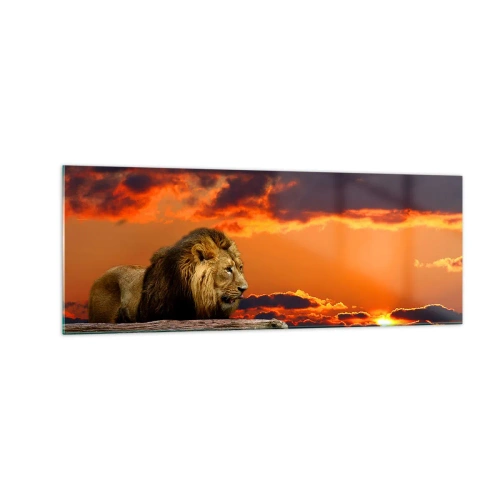 Quadro su vetro - Un leone riposa in riva all'acqua al tramonto, con un cielo spettacolare. - 140x50cm - Il re della natura - Decorazione murale moderna per soggiorno e camera da letto ARTTOR