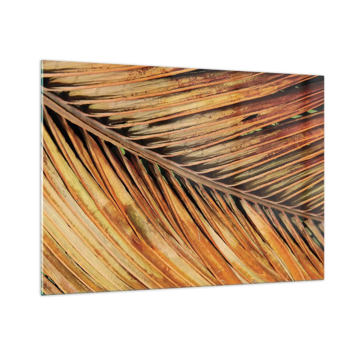 Quadro su vetro - Primo piano di foglie di palma secche e dorate - 100x70cm - Oro di cocco - Decorazione murale moderna per soggiorno e camera da letto ARTTOR