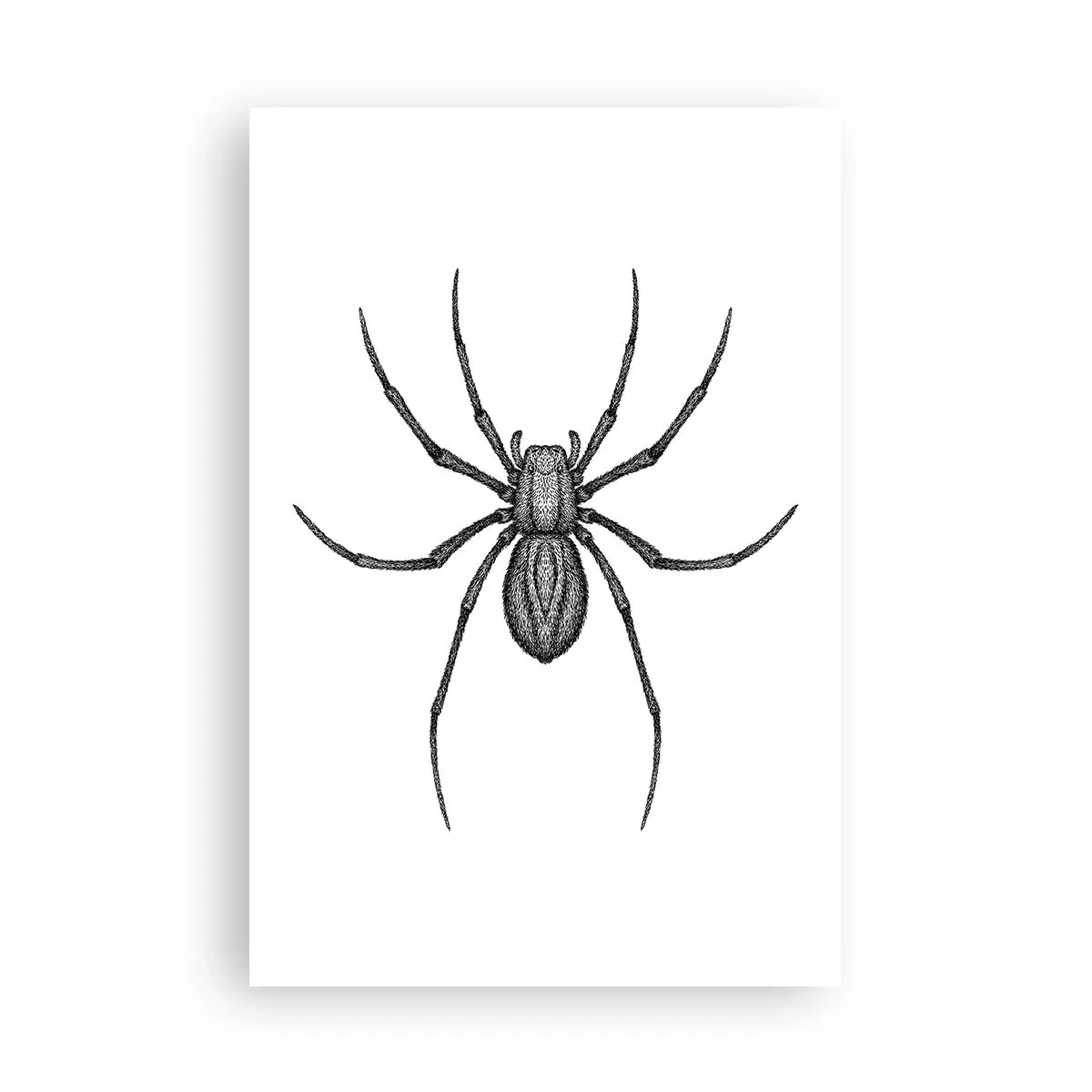 Poster - Precisione inquietante - 61x91 cm