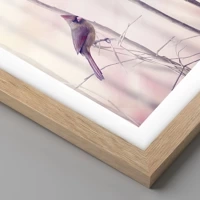 Rovere chiaro