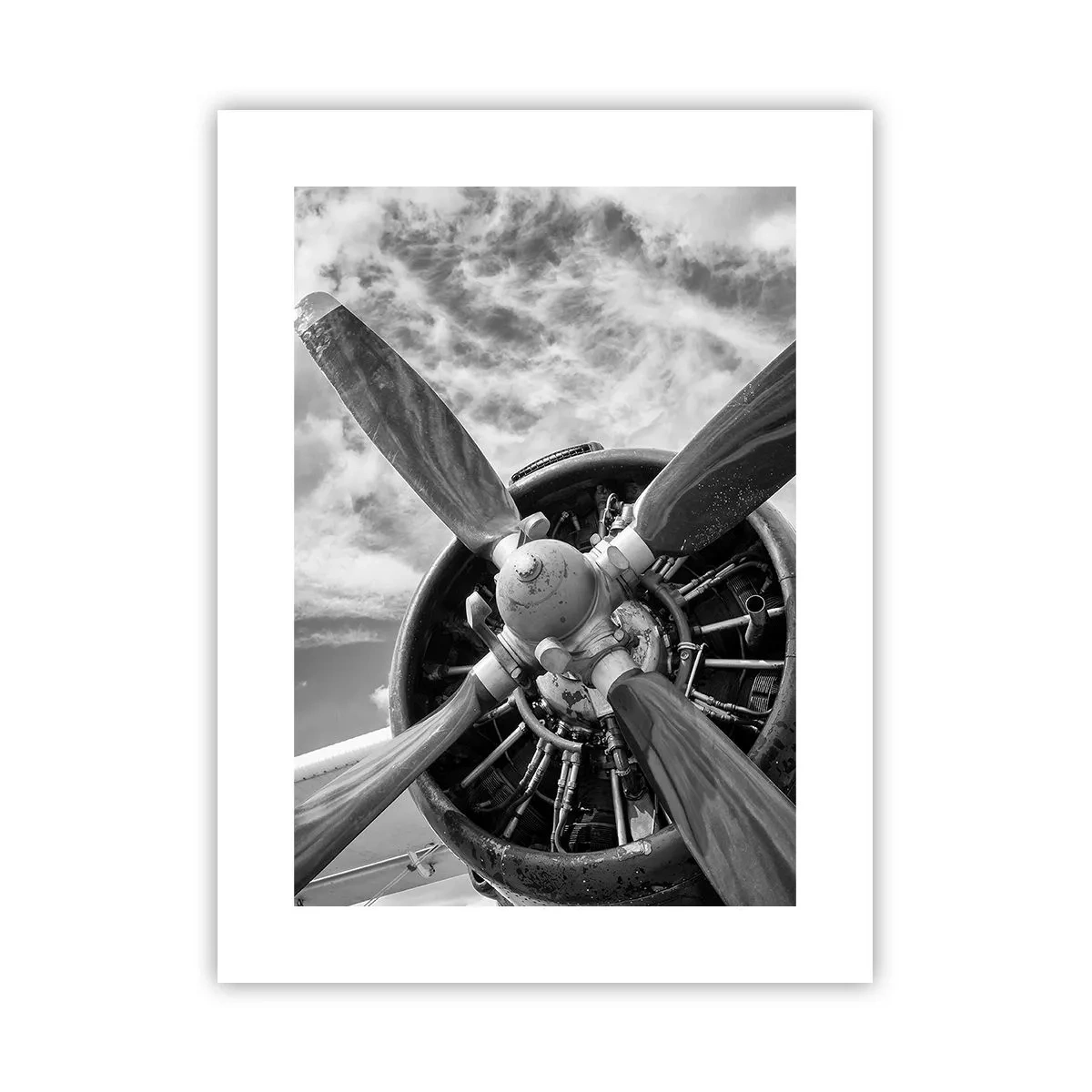 Poster - Il dominatore dell'aria - 30x40 cm