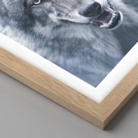 Rovere chiaro