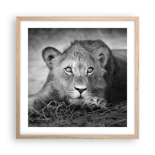 Poster in cornice rovere chiaro - Cucciolo reale - 50x50 cm