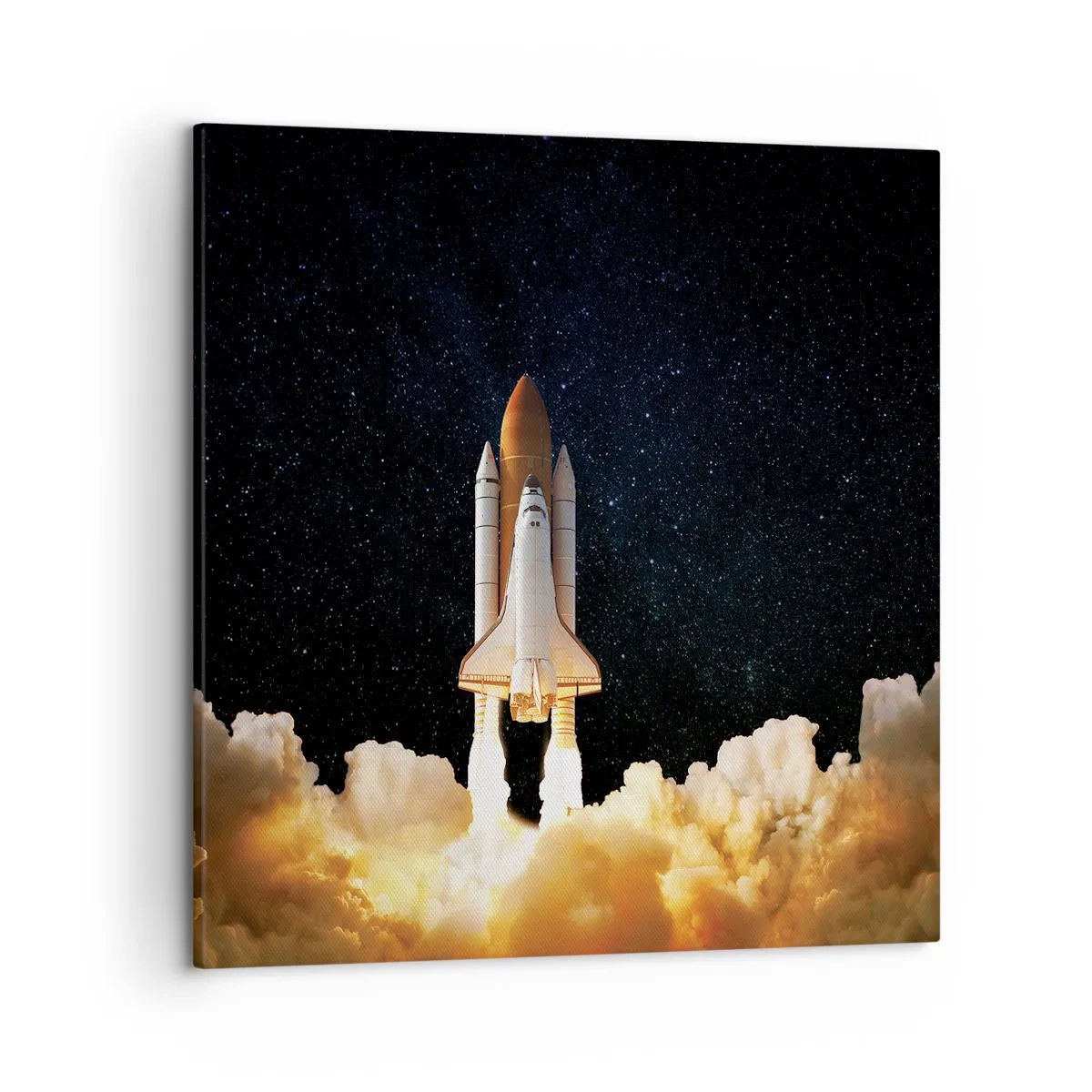 Quadro su tela - Stampe su Tela - Ad astra! - 50x50 cm