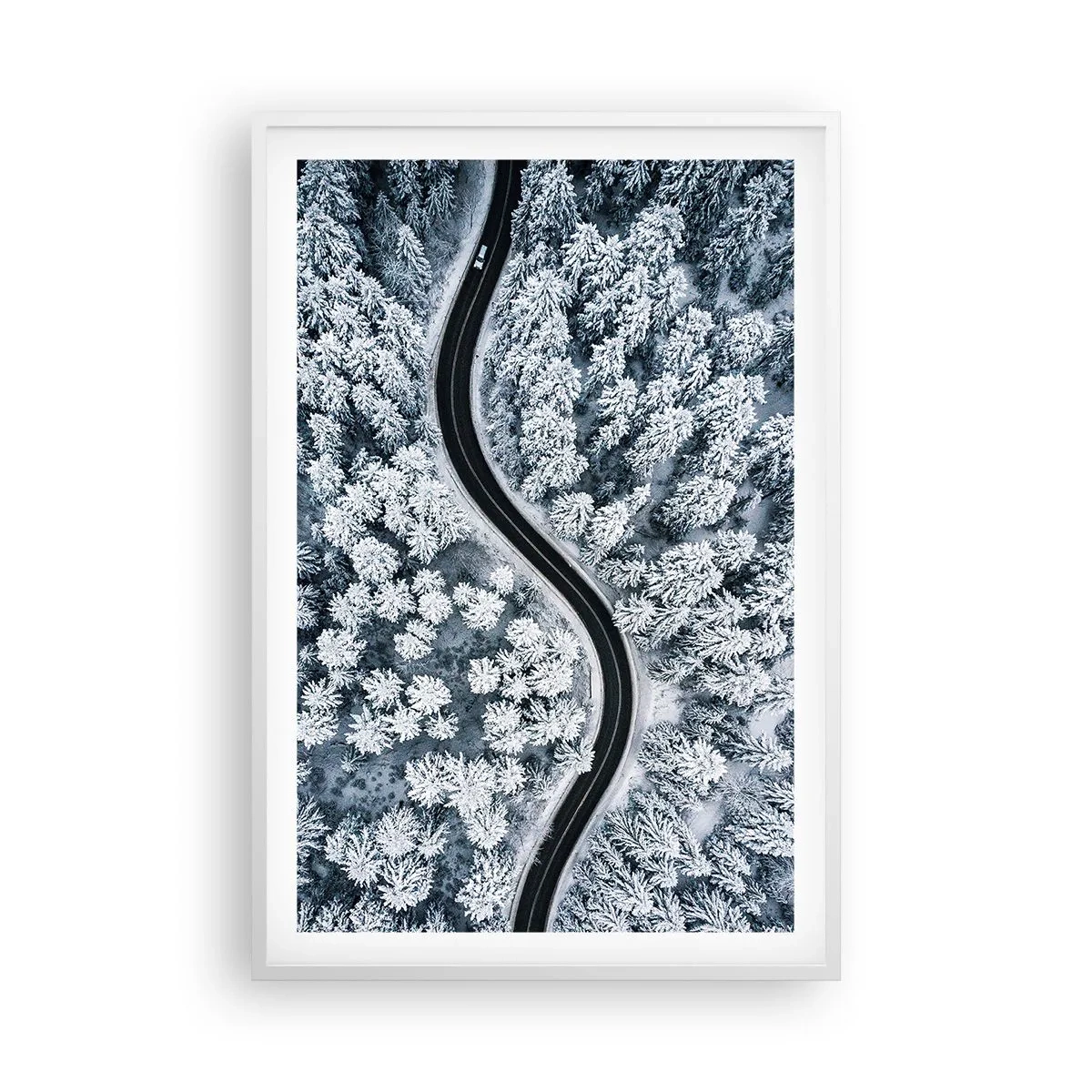 Poster in cornice bianca - Attraverso il bosco invernale - 61x91 cm