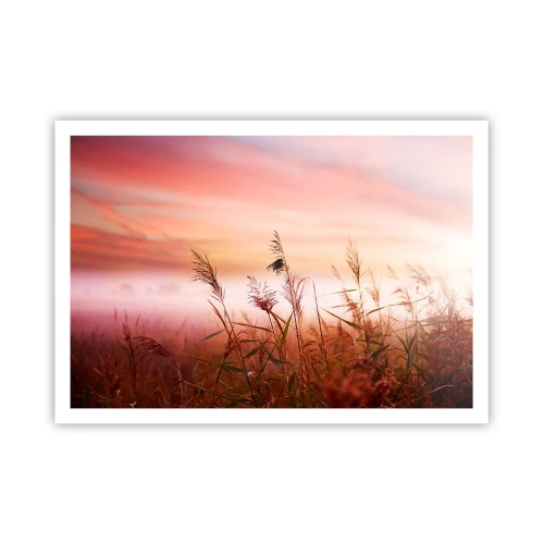 Poster - Un campo d'erba sullo sfondo di un pittoresco tramonto - 100x70cm - Aquiloni, denti di leone, vento - Decorazione murale moderna per soggiorno e camera da letto ARTTOR