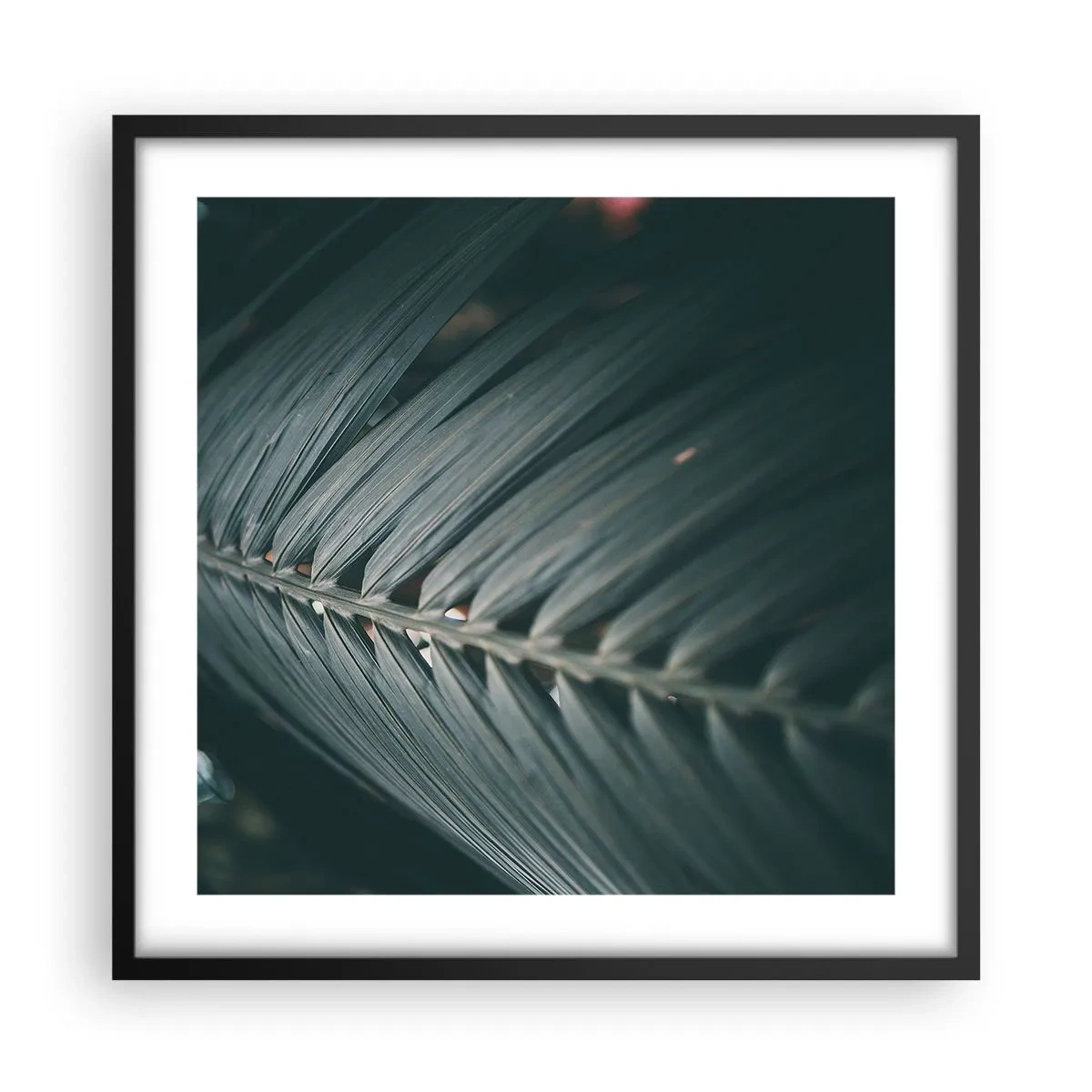 Poster in cornice nera - La precisione della natura - 50x50 cm