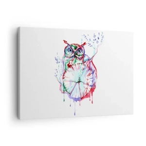 Quadro su tela - Stampe su Tela - Gufo acquerello colorato in stile artistico - 70x50cm - Saggia di natura - Decorazione murale moderna per soggiorno e camera da letto ARTTOR