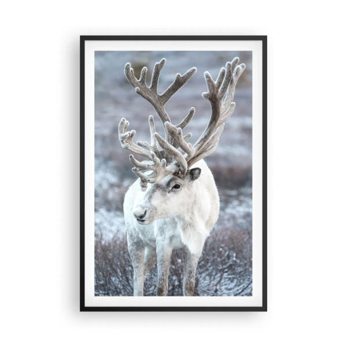 Poster in cornice nera - Ritratto al sole - 61x91 cm