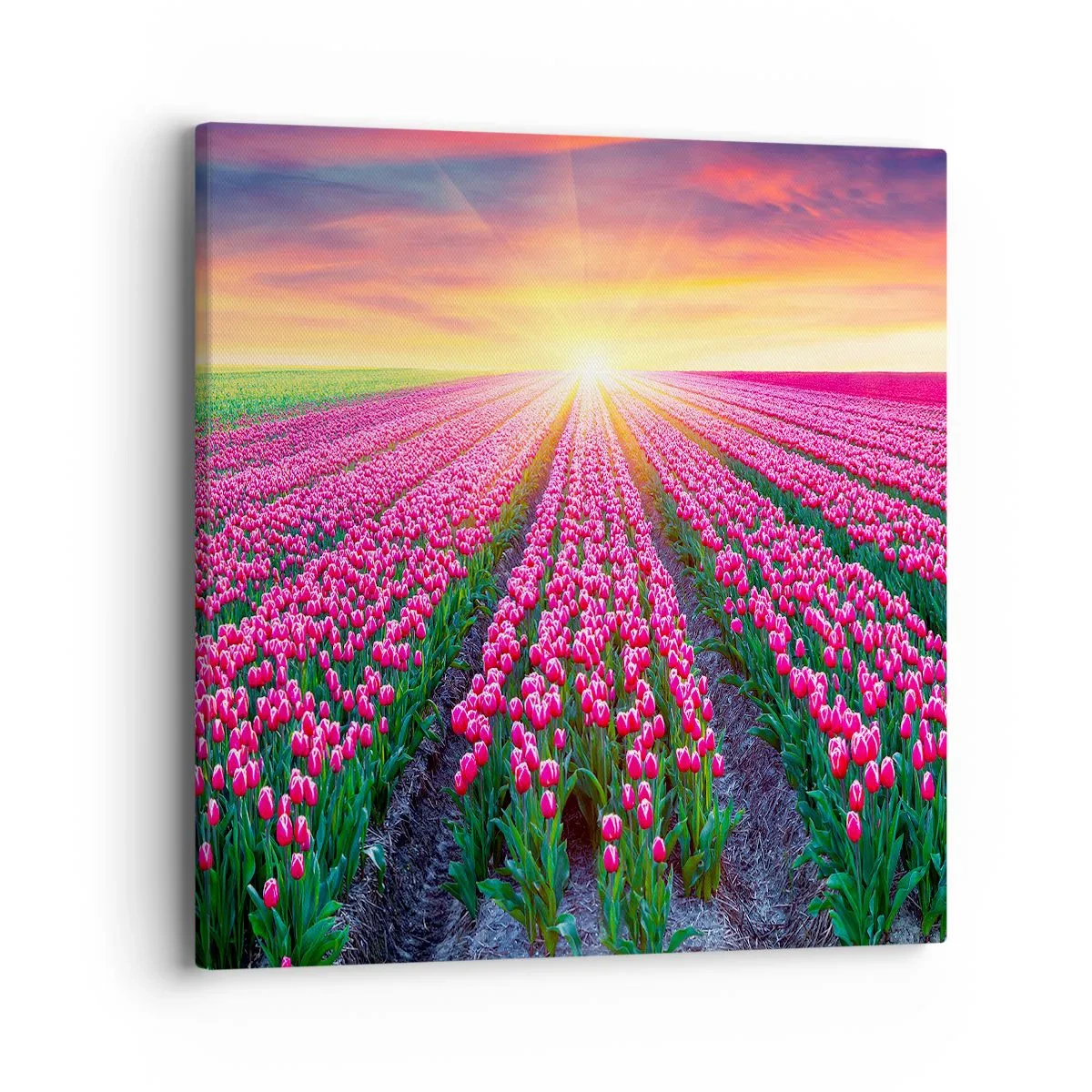 Quadro su tela - Stampe su Tela - La fattoria della bellezza - 40x40 cm