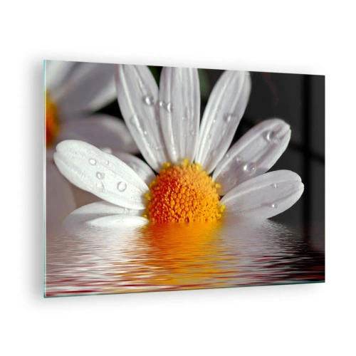 Quadro su vetro - Una margherita con gocce d'acqua riflesse nell'acqua - 70x50cm - L'alba della margherita - Decorazione murale moderna per soggiorno e camera da letto ARTTOR